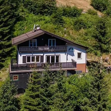 Taube * Bad Gastein