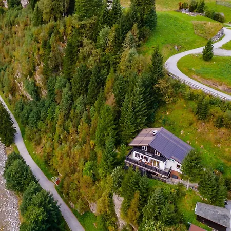 Taube باد جاستاين