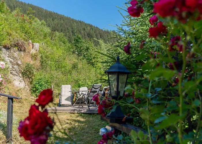 Appartement Taube Bad Gastein